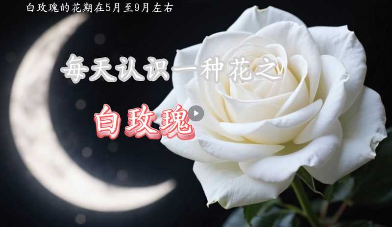 植物科谱视频【速创剪映小助手】-星舰联盟AIGC